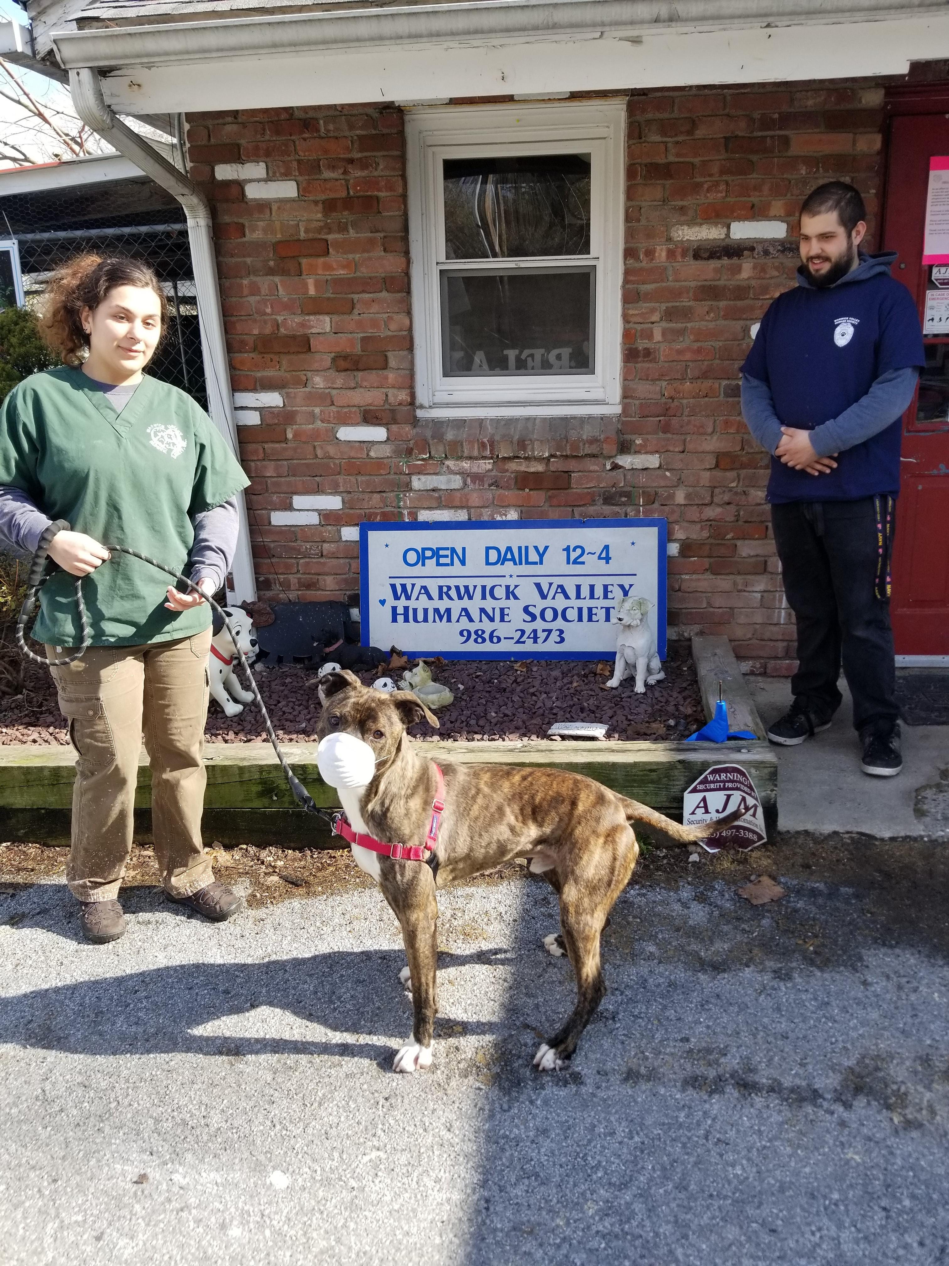 nearby animal shelters